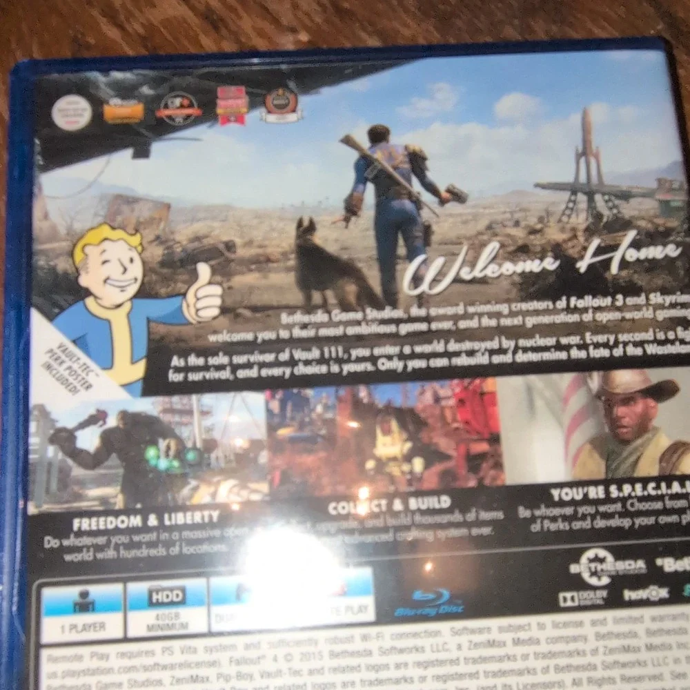 N/A bethesda fallout